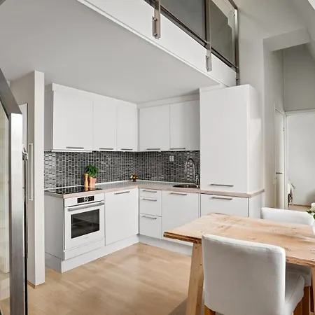 Urban Penthouse Apartment