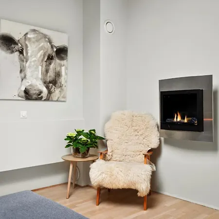 Lejlighed Urban Penthouse With Fireplace & Views Oslo